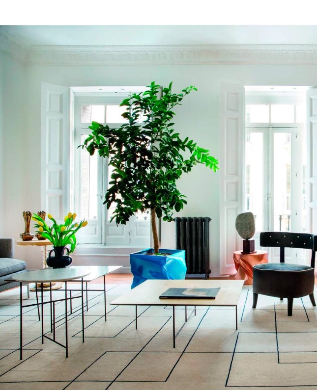 Nuevo Estilo Septiembre 2022 Nuevo Estilo Septiembre 2022